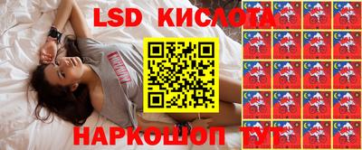 спиды Дмитров