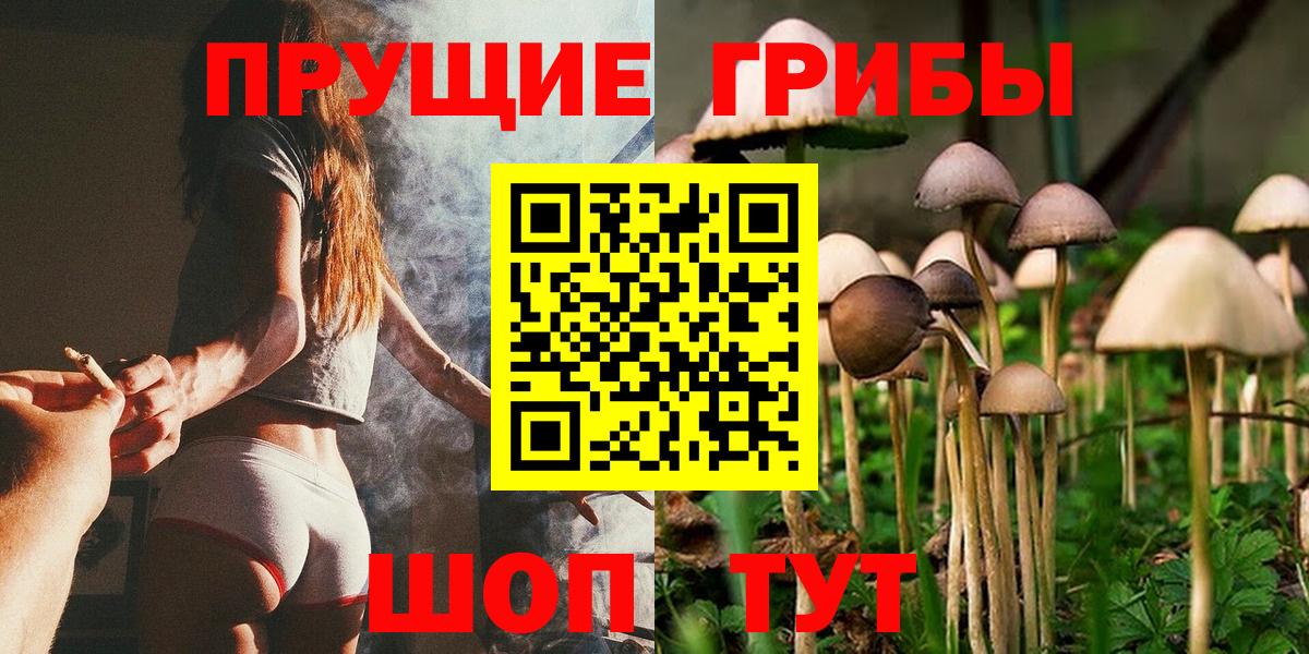 Анжеро-Судженск  Псилоцибиновые грибы прущие грибы  Вход с VPN  Галлюциногенные грибы ЛСД 