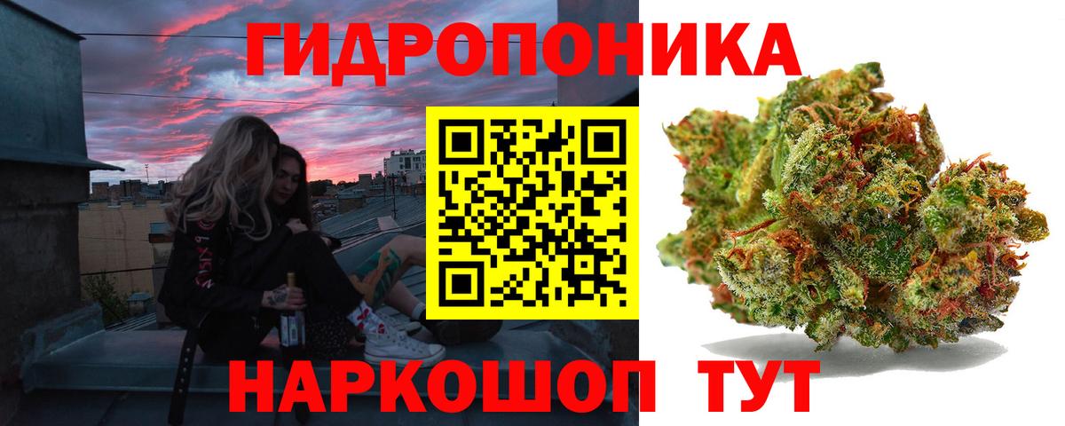 Конопля сатива  МАРИХУАНА OG Kush  Анжеро-Судженск  Вход с VPN 